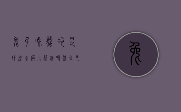 兔子和熊的是什么面膜（小熊面膜补水是哪款）