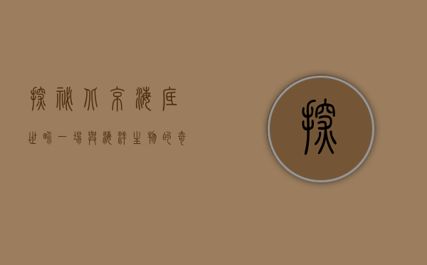 探秘北京海底世界，一场与海洋生物的奇妙邂逅