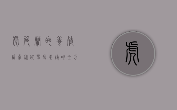 虎皮兰的养殖指南，从选苗到养护的全方位解析