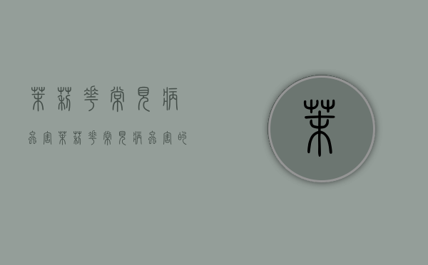 茉莉花常见病虫害，茉莉花常见病虫害的防治方法（茉莉花的病虫）