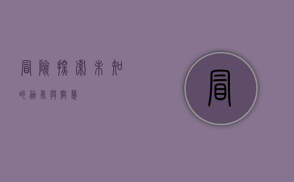 冒险，探索未知的勇气与智慧