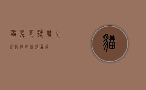 猫网，守护城市流浪猫的温暖屏障