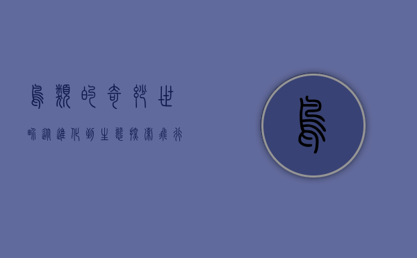 鸟类的奇妙世界，从进化到生态，探索飞行的奇迹