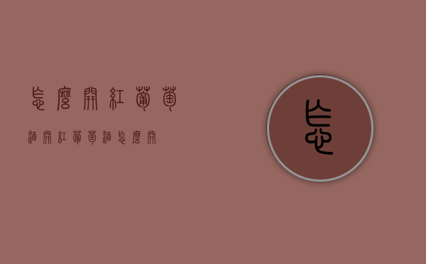 怎么开红葡萄酒（开红葡萄酒怎么开）