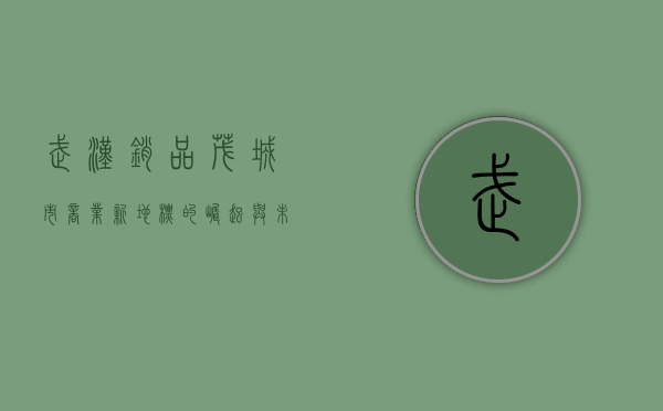 武汉销品茂，城市商业新地标的崛起与未来展望