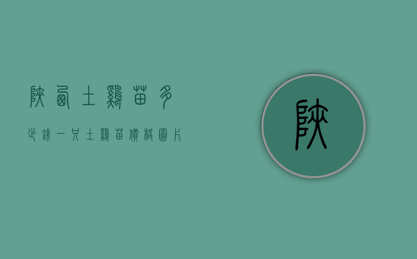 陕西土鸡苗多少钱一只（土鸡苗价格图片）