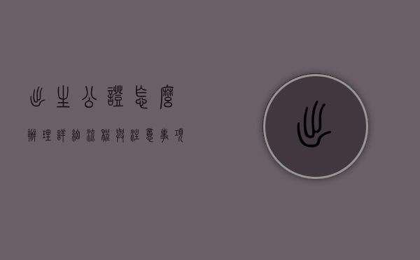 出生公证怎么办理？详细流程与注意事项全解析