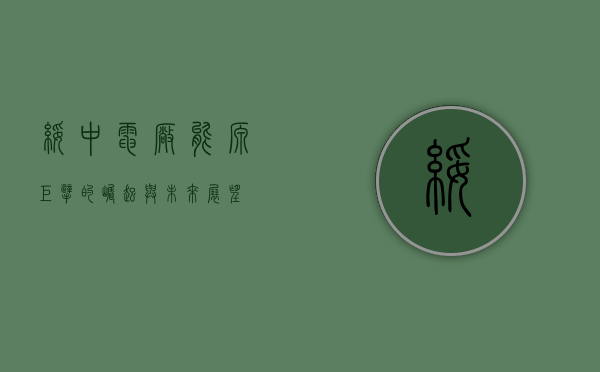绥中电厂，能源巨擘的崛起与未来展望