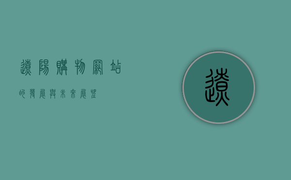 辽阳购物网站的发展与未来展望