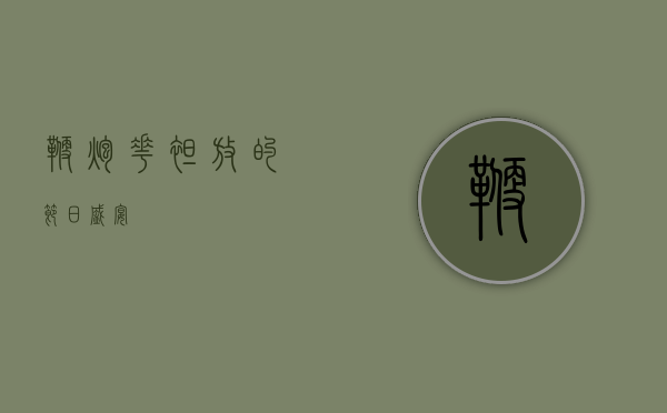 鞭炮花，绽放的节日盛宴