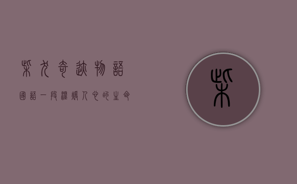 柴犬奇迹物语国语，一段温暖人心的生命旅程