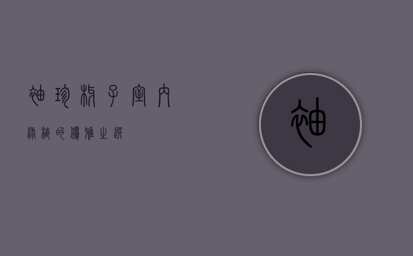 袖珍椰子，室内绿植的优雅之选