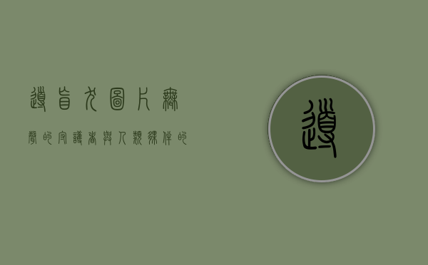 导盲犬图片，无声的守护者与人类伙伴的感人故事