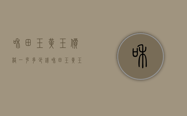 和田玉黄玉价格一克多少钱（和田玉黄玉价格一克多少钱一个）