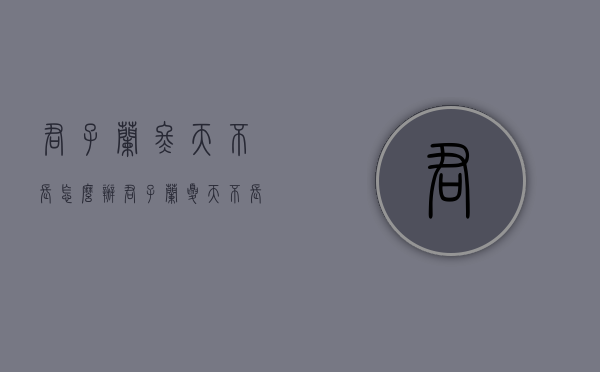 君子兰冬天不长怎么办（君子兰夏天不长）