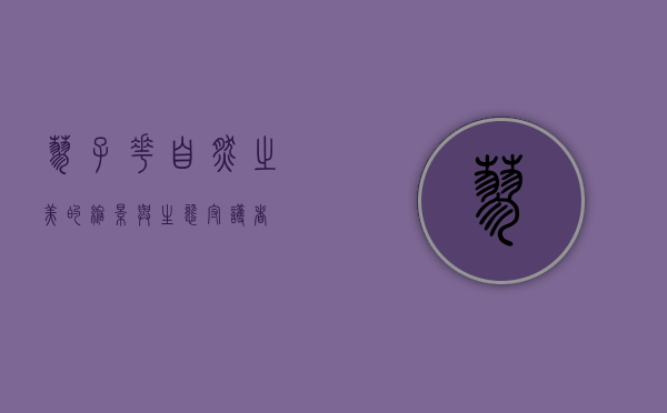 蓼子花，自然之美的缩影与生态守护者
