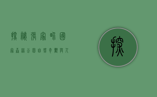 探秘张家界国家森林公园，自然奇观与人文魅力的完美融合