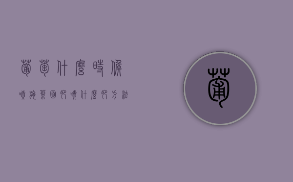 葡萄什么时候喷施叶面肥，喷什么肥，方法是什么（葡萄树在什么时候施肥是最好）