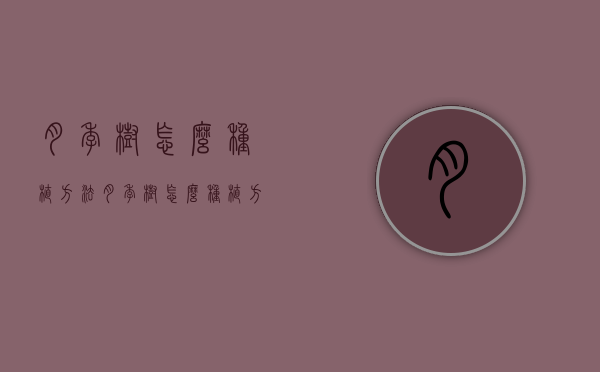 月季树怎么种植方法（月季树怎么种植方法视频）