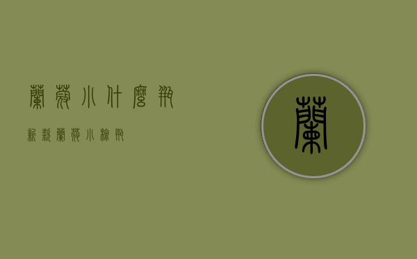 兰蔻小什么瓶新款（兰蔻小棕瓶）