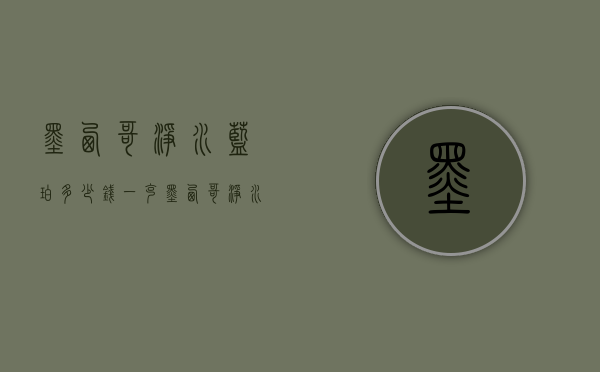 墨西哥净水蓝珀多少钱一克（墨西哥净水蓝珀价格）