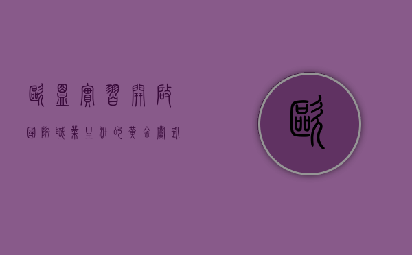 欧盟实习，开启国际职业生涯的黄金钥匙