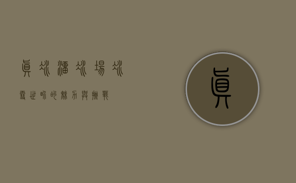 真冰溜冰场，冰雪世界的魅力与挑战