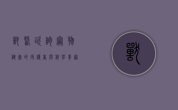 兽医咨询，宠物健康的守护者与科学养宠的指南