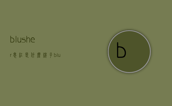 blusher腮红是什么牌子（blusher腮红多少钱）