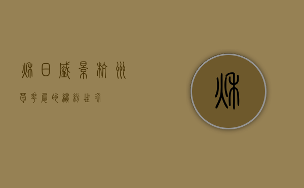 秋日盛景，杭州菊花展的缤纷世界
