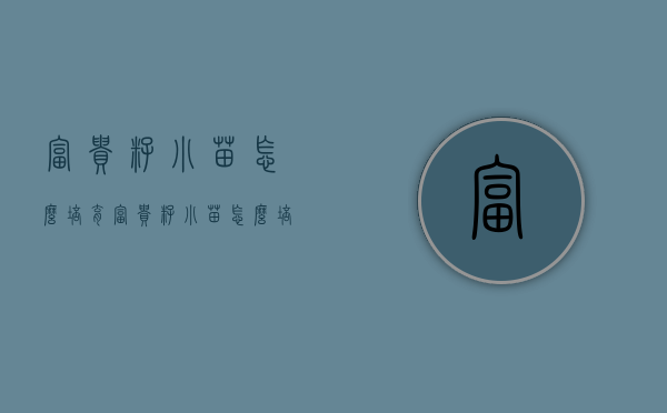 富贵籽小苗怎么培育（富贵籽小苗怎么培育出来的）