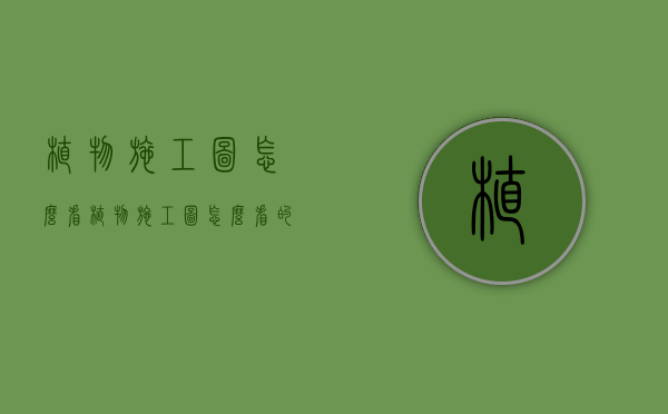 植物施工图怎么看（植物施工图怎么看的）