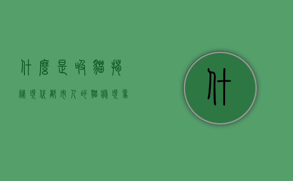 什么是吸猫?揭秘现代都市人的猫瘾现象 什么是吸猫?揭秘现代都市人的猫瘾现象
