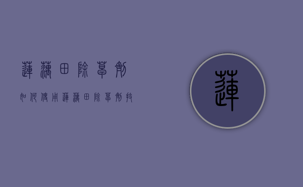 莲藕田除草剂如何使用，莲藕田除草剂技术（藕田里怎么除草）
