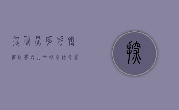 探秘昆明野鸭湖，自然与人文的和谐交响