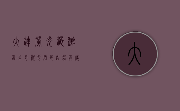 大连荧光海滩，梦幻奇观背后的自然奥秘
