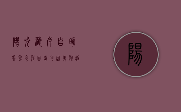 阳光海岸自助餐，美食与自然的完美邂逅