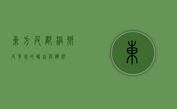 东方皮都，桐乡皮革城的崛起与辉煌