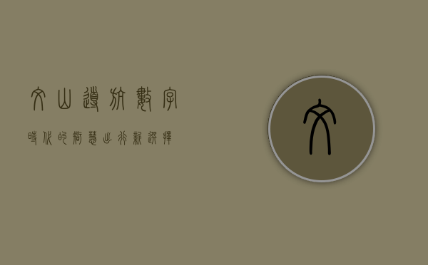 文山导航，数字时代的智慧出行新选择