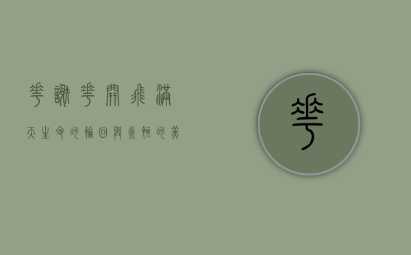 花谢花开飞满天，生命的轮回与永恒的美丽