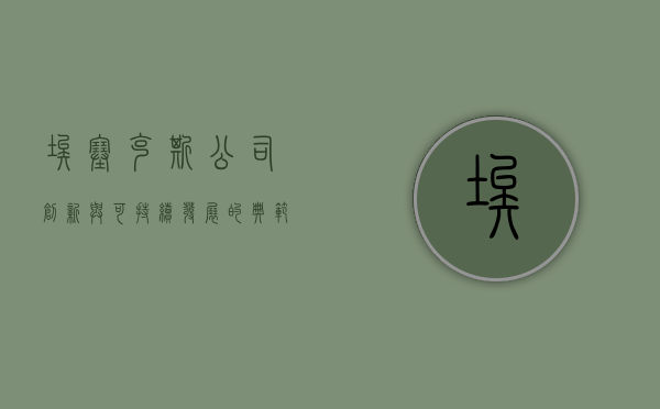 埃塞克斯公司，创新与可持续发展的典范