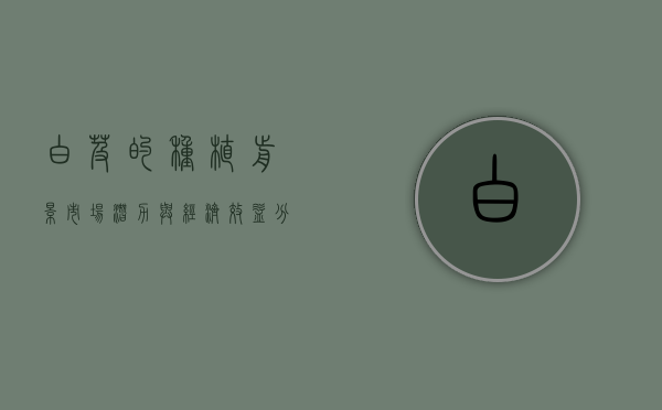 白芨的种植前景，市场潜力与经济效益分析