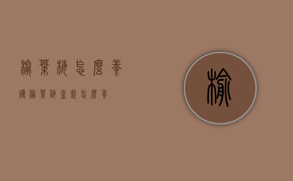 榆叶梅怎么养护（榆叶梅盆栽怎么养）