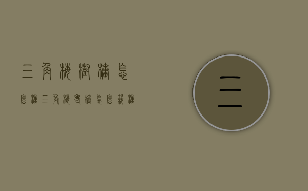三角梅树桩怎么种（三角梅老桩怎么栽种）