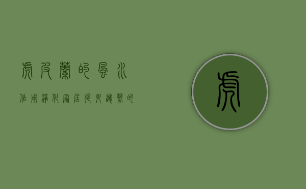 虎皮兰的风水作用，净化家居、提升运势的绿色守护者