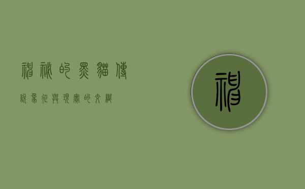 神秘的黑猫，传说、象征与现实的交织
