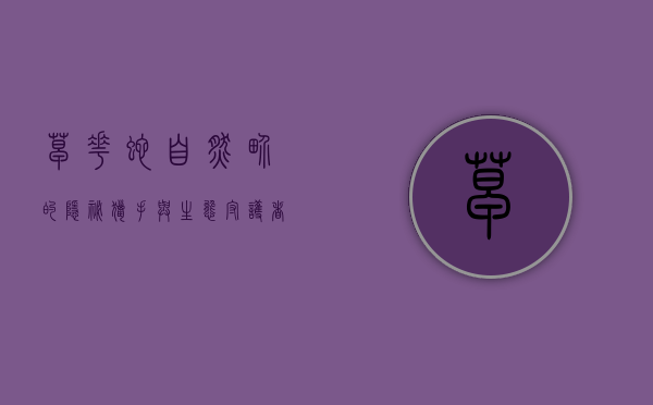 草花蛇，自然界的隐秘猎手与生态守护者