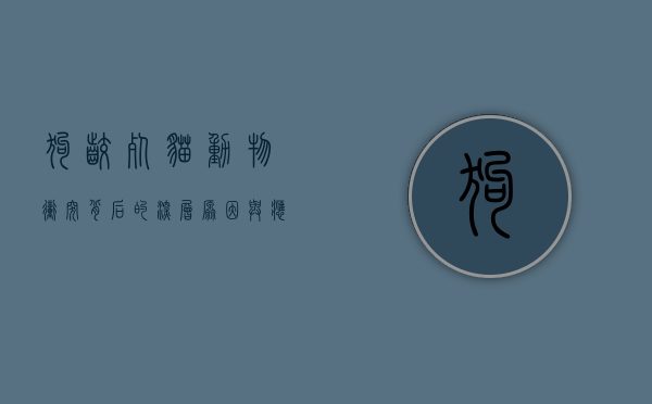 狗咬死猫，动物冲突背后的深层原因与应对策略