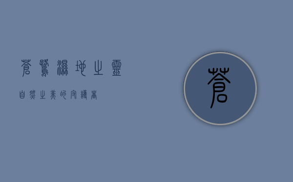 苍鹭，湿地之灵，自然之美的守护者