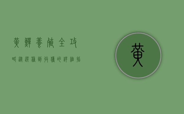 黄鳝养殖全攻略，从选种到收获的详细指南